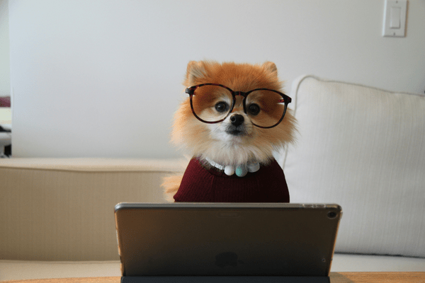 email marketing a/b testing